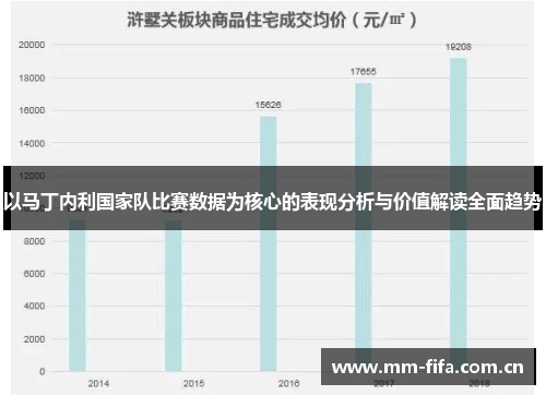 以马丁内利国家队比赛数据为核心的表现分析与价值解读全面趋势