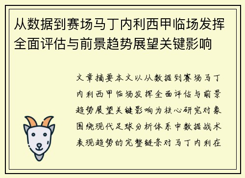 从数据到赛场马丁内利西甲临场发挥全面评估与前景趋势展望关键影响
